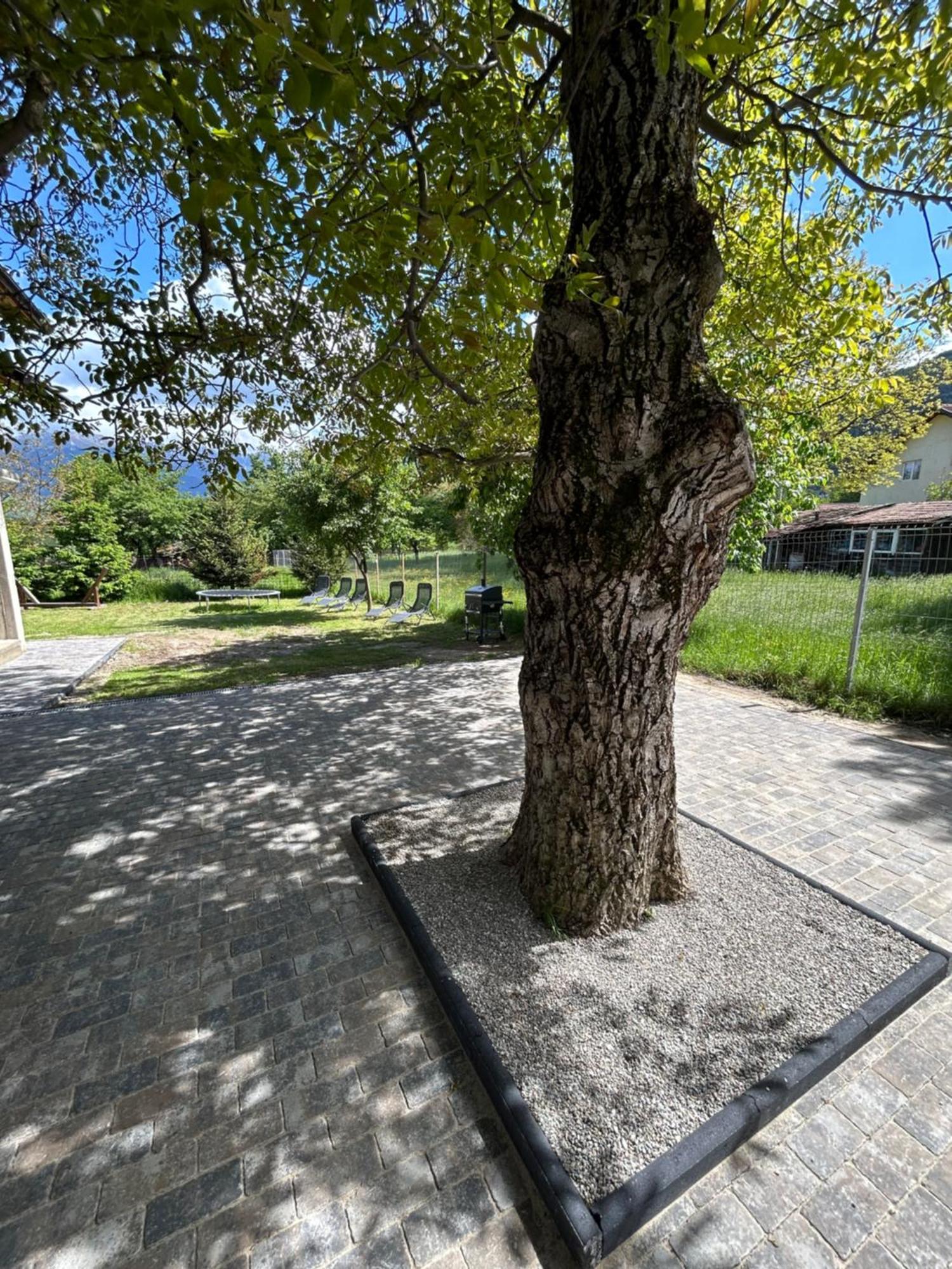 Casa Luca Ama Bran Villa Bran  Bagian luar foto